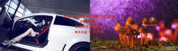 ПСИЛОЦИБИНОВЫЕ ГРИБЫ Алексин