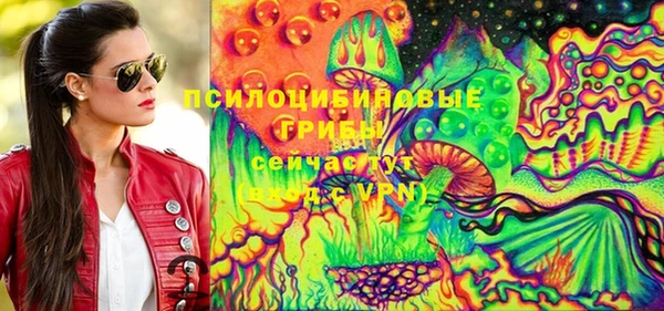 ПСИЛОЦИБИНОВЫЕ ГРИБЫ Алексин