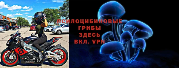 дурь Алзамай