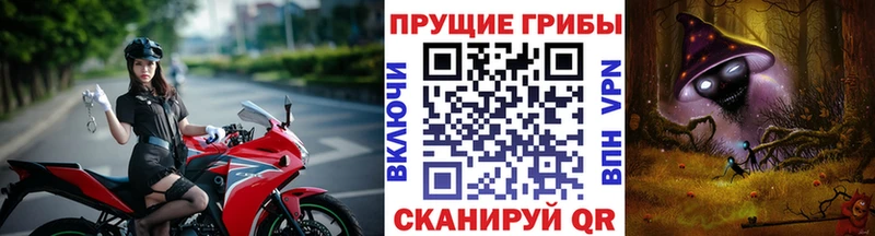 наркошоп  Кизел  Галлюциногенные грибы мицелий 